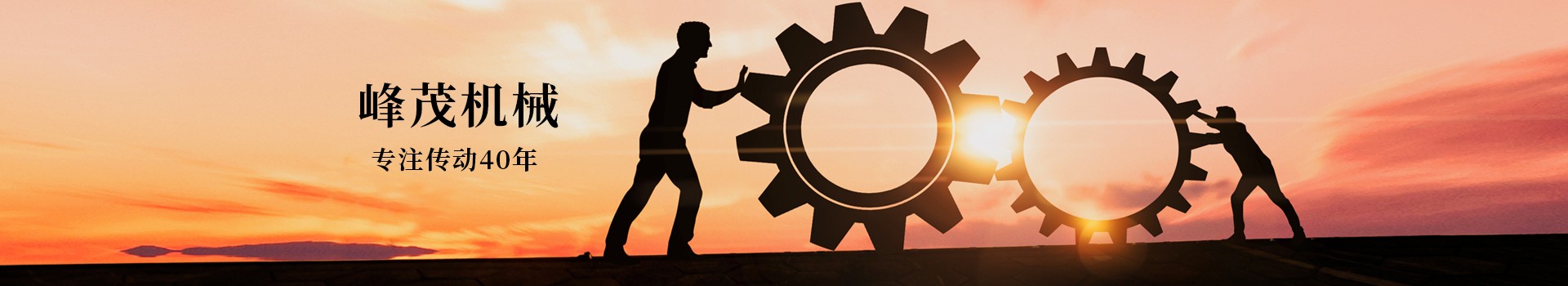 東莞市峰茂機(jī)械設(shè)備有限公司，專注齒條齒輪傳動(dòng)40年